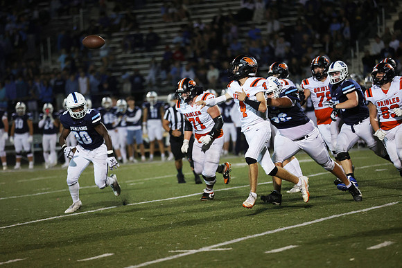 8Z6A6075